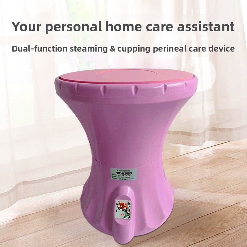 Perineal Health Care Fumigation and Moxibustion Device