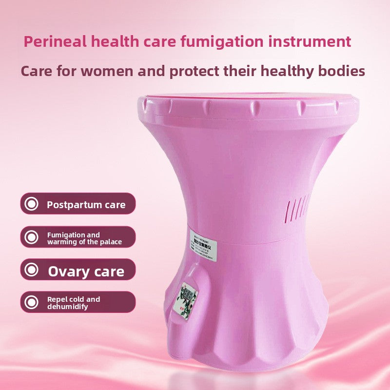 Perineal Health Care Fumigation and Moxibustion Device